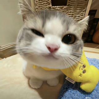 9527